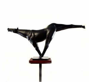 Foto 10